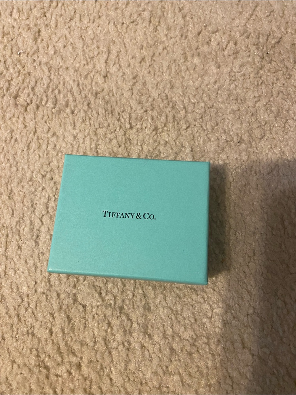 Tiffany & Co. Robin's Egg Blue Gift Box